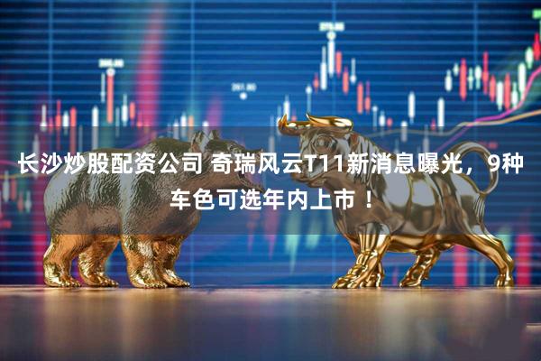 长沙炒股配资公司 奇瑞风云T11新消息曝光，9种车色可选年内上市 ！