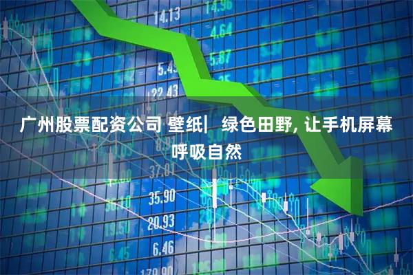 广州股票配资公司 壁纸︳绿色田野, 让手机屏幕呼吸自然