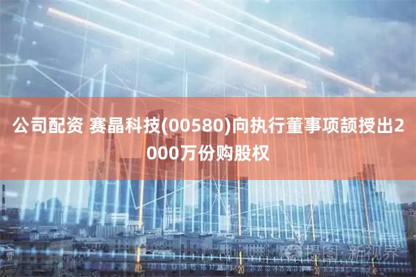 公司配资 赛晶科技(00580)向执行董事项颉授出2000万份购股权