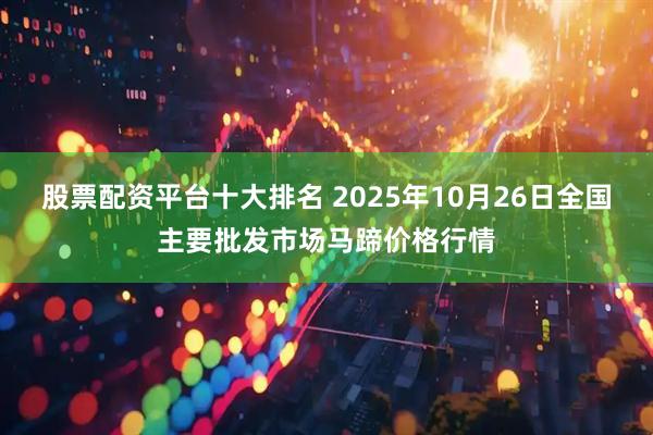 股票配资平台十大排名 2025年10月26日全国主要批发市场马蹄价格行情