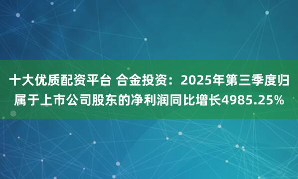 十大优质配资平台 合金投资：2025年第三季度归属于上市公司股东的净利润同比增长4985.25%