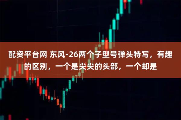 配资平台网 东风-26两个子型号弹头特写，有趣的区别，一个是尖尖的头部，一个却是